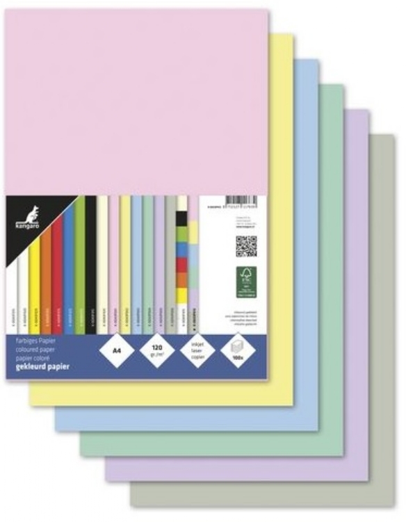 Gekleurd tekenpapier, 120gr, A4, 100 vel assortiment pastel kopen?