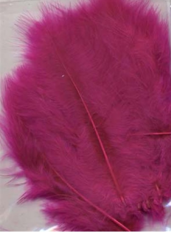 OUTLET Marabou donsveren 10-12 cm, 15 stuks, fuchsia kopen?